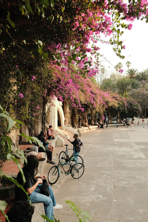 Travel Guide | Mexico City Summer 2025